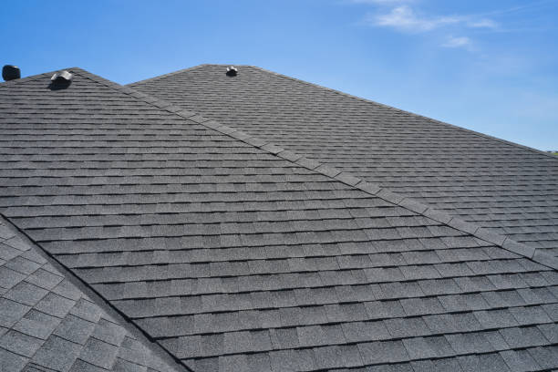 Best Roof Maintenance and Cleaning  in Ester, AK